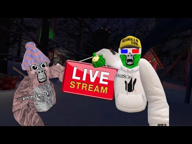 GorillA TaG LIVE #vr #oculus #gorillatagvr #gorillatag