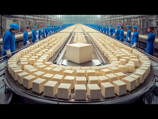 How Tons of Tofu Are Made In Factory | Tofu Mass Production Line