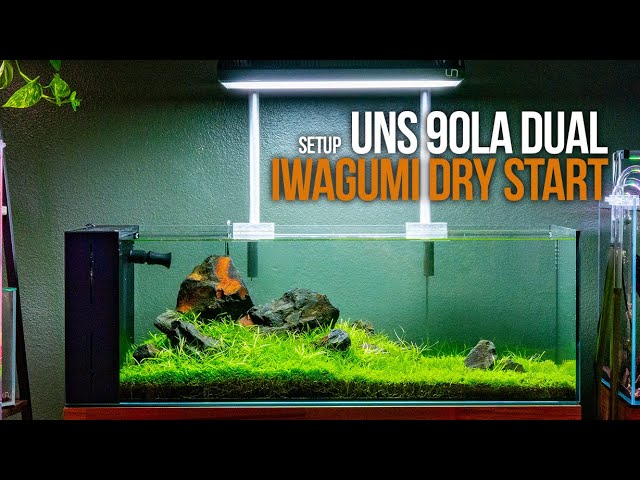 Iwagumi Aquascape in the UNS 90LA Peninsula Using the Dry Start Method