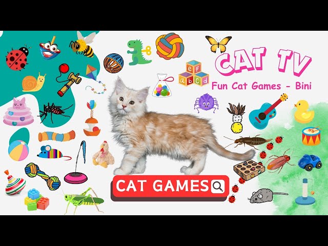 GAMES FOR CATS 😻 Play With Bugs, Mice, Worms,... To Make Your Cat Happy - 1 Hour 🦋🧶🐠🦇🕷️🐭 - CAT TV