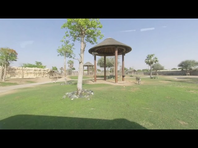 [VR180] UAE, Dubai, Dubai Safari Park, Insta360 Evo, 3d