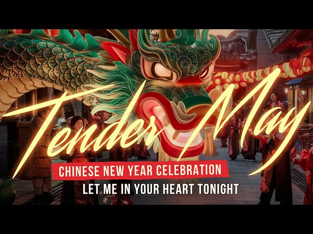 Chinese New Year Celebrations❤️. Let Me In Your Heart Tonight - Tender May. New Music Video.Stream.