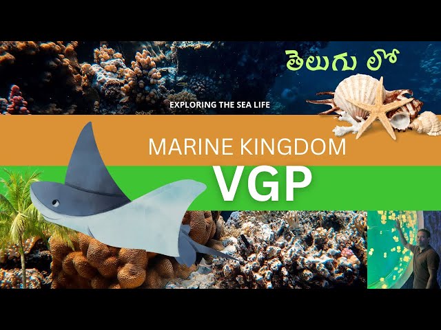 VGP Marine Kingdom