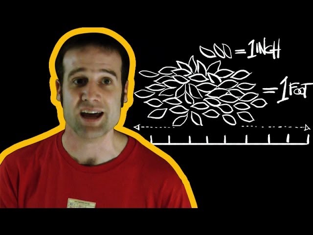 A Guide to Imperial Measurements with Matt Parker | Earth Science