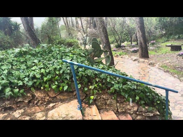 Rainy Day in Israel: Walking on Wet Steps in Ramot Jerusalem