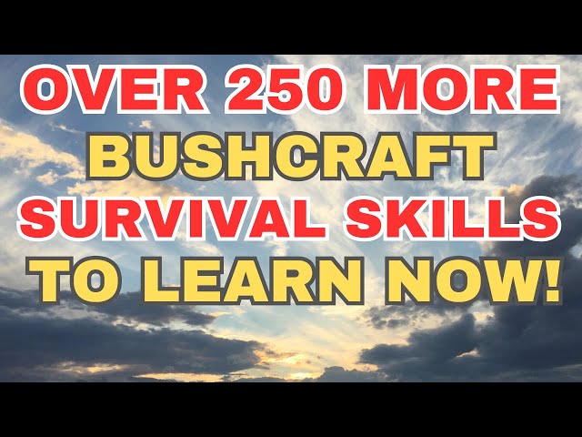 Over 250 Bushcraft Survival Skills To Learn NOW!