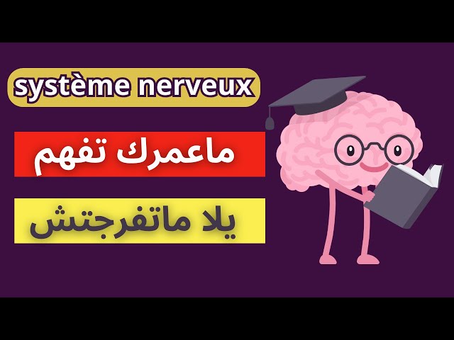 الفيديو لي غادي يهنيك من هاد الدرس 🔥 le système nerveux la sensibilité consciente