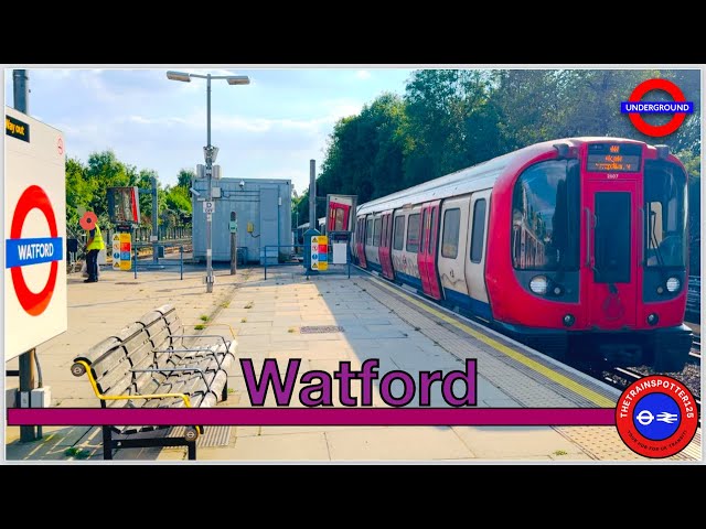 London Underground Action at Watford Station! - (26/06/2024) #endoftheline