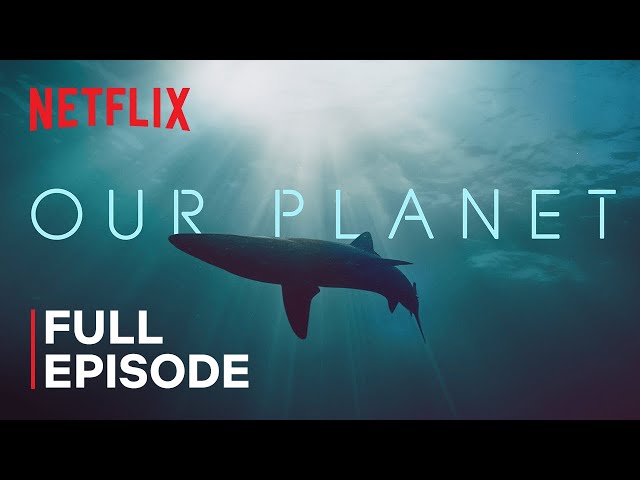 Our Planet | Coastal Seas | FULL EPISODE | Netflix