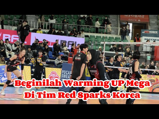 Beginilah Warming UP Mega Di Tim Red Sparks Saat Lawan GS Caltex !!!