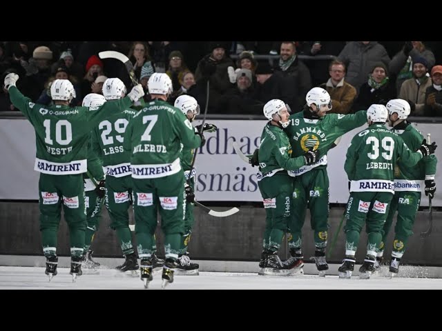 «Hammarby IF»-«Gripen Trollhättan BK» 31 Jan Elitserien 2024-25