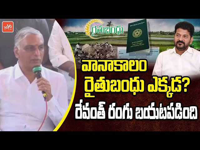 రేవంత్ రంగు బయటపడింది MLA Harish Rao On CM Revanth Reddy | Congress | YOYO TV Channel