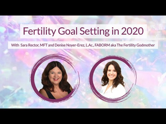 Fertility Goal Setting in 2020