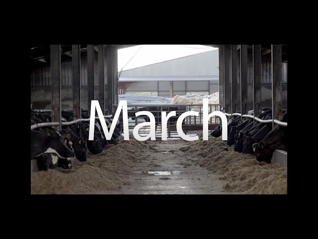 MSD March Animal Health Series : Episode 02