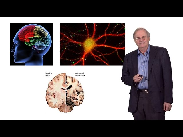 Gregory Petsko (Cornell) 1: Neurodegenerative disease: The Coming Epidemic