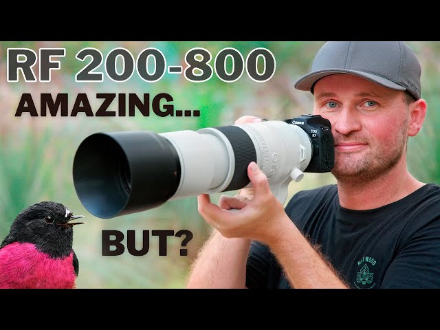 DREAM LENS OR BUST? F9? No Problem!? | What About IMAGE QUALITY? | CANON RF 200-800 REVIEW