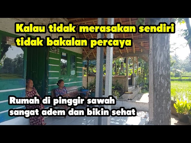 Kelebihan Rumah di Pinggir Sawah Yang Tak Terduga