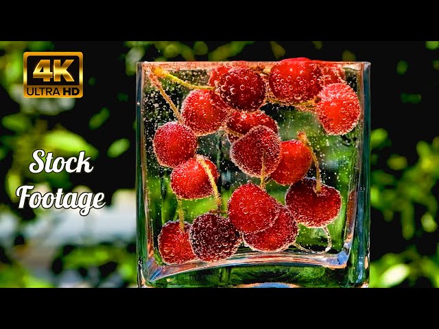 【4K】Cherries Fruits  Royalty Free | Stock Footage | No copyright #Kohelixcam