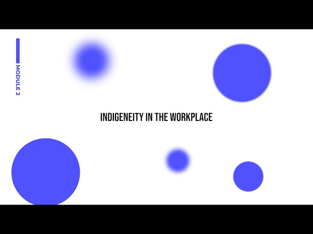 Indigeneity in the workplace