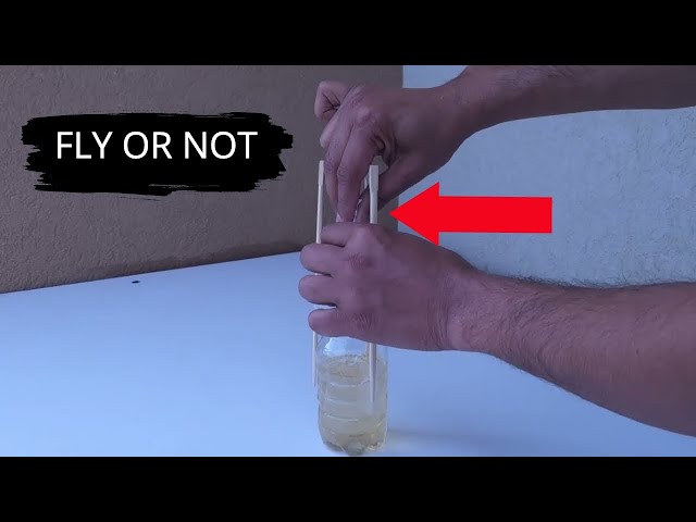 How to Build a Water Bottle Rocket (and Make it Fly!)