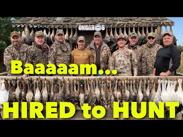 Baaaaaam ... Claudio Ongaro's Hired to Hunt Season 6: Limits of Ducks & Geese at Ongaro's