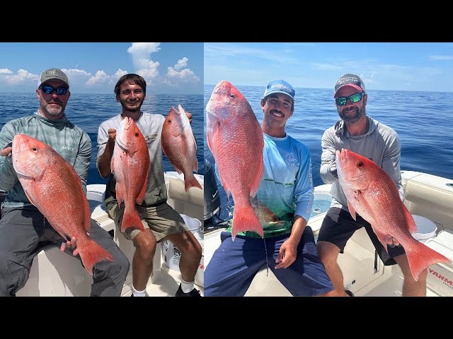 The Ultimate Red Snapper Fishing Experience!