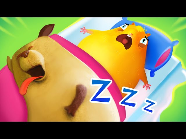 Dog Won't Let Me Sleep! | SNORE | Funny Animated Cartoon | CAT | DOG | HAMSTER