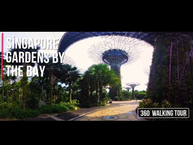 Singapore Gardens By The Bay 360 Walking Tour