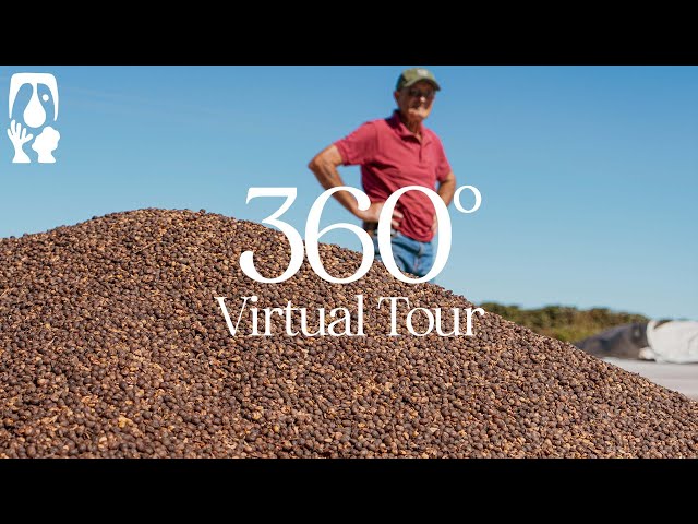 Fazenda Chapadão - TYPICA's 360° Virtual Tour