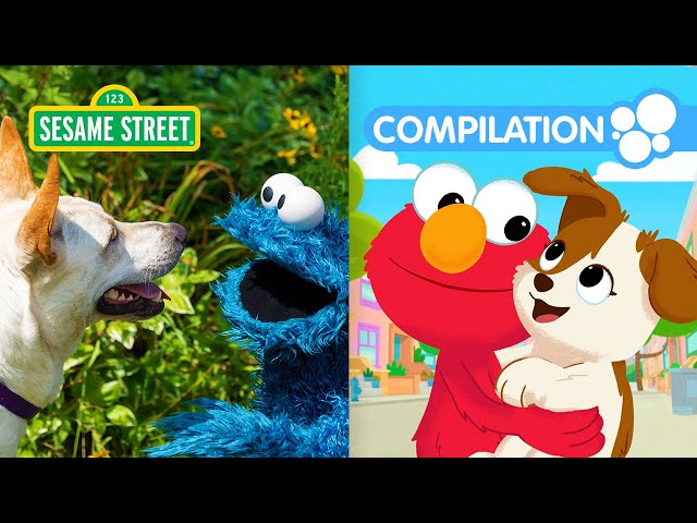 Sesame Street: Elmo's Pets Compilation | 90 Minutes