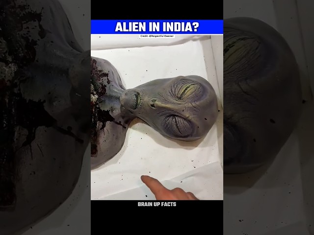 Alien In India👽 | Real Truth?😱