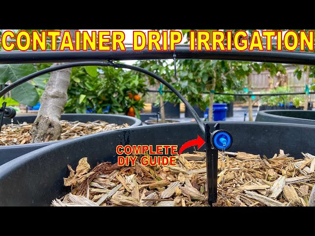 The BEST Guide To Installing DRIP IRRIGATION To A Container Garden