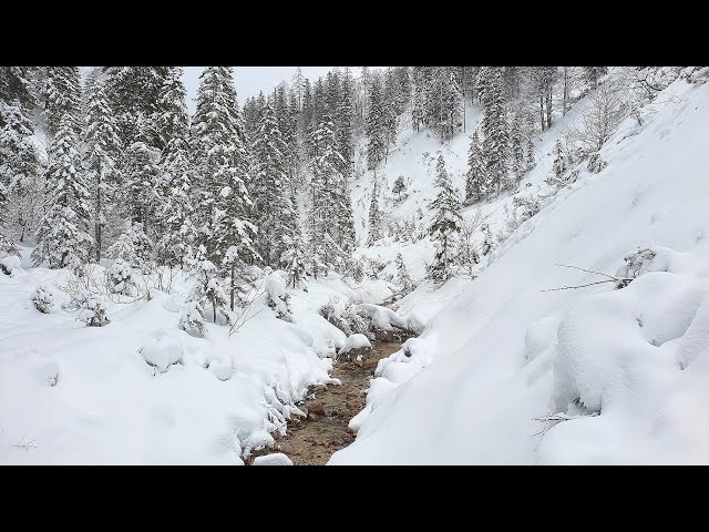 Neuhaus-Runde durch das Tal der Weißen Ois (Ybbs Oberlauf)