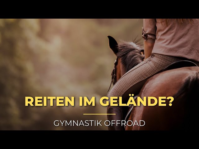 Im Gelände mit Pferd 🐴 Warum eigentlich? #geländereiten #ausreiten #grländetraining