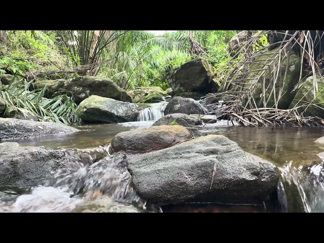 Relaxing Waterfall Sounds for Sleep | Fall Asleep & Stay Sleeping with Water White Noise