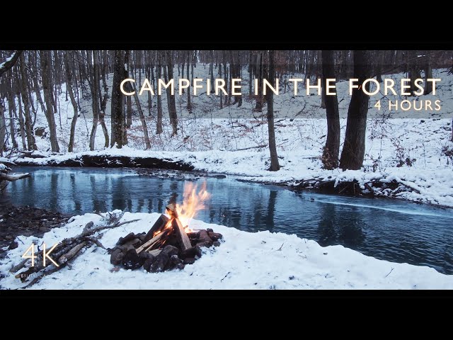 4 hours - Winter Campfire by the River | Snowy Forest Ambience | Gentle Stream | Campfire Sounds 4K