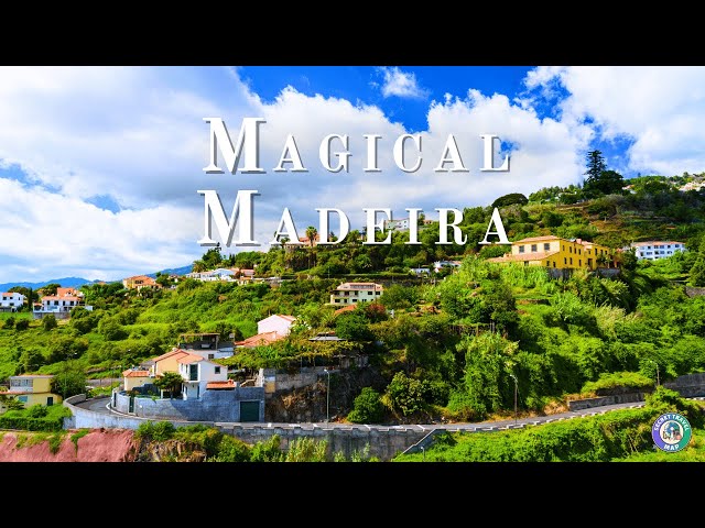 Madeira, Portugal: A Hidden Gem You Need on Your Bucket List