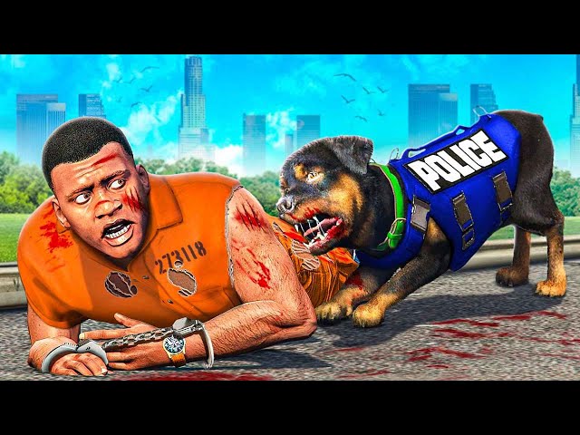 How CHOP Betrayed FRANKLIN In GTA 5