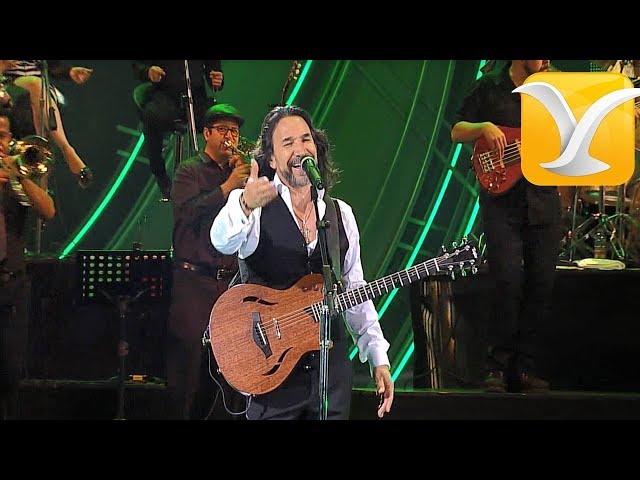 Marco Antonio Solis - O me voy o te vas  - Festival de Viña del Mar 2016 HD