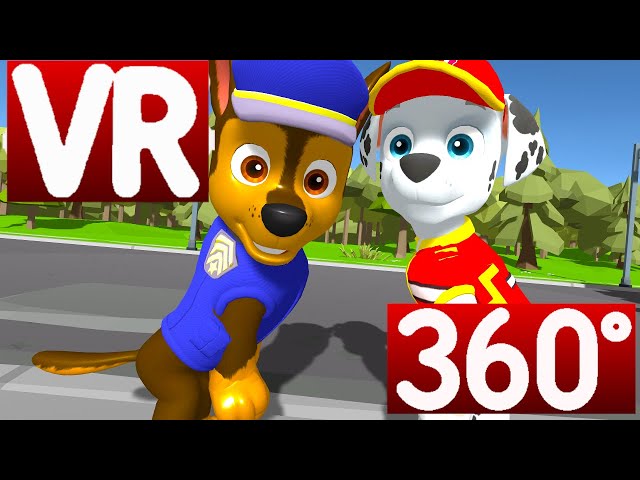 Mystery PETS are best friends VR/360° Meme in 4K