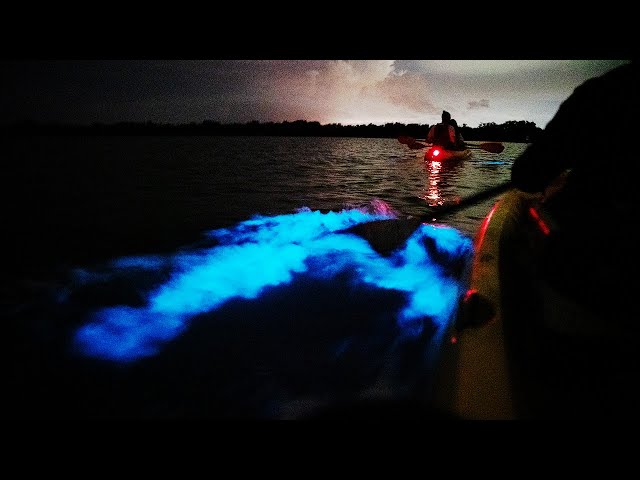 You've Gotta Try: Bioluminescence Kayaking in Cocoa Beach