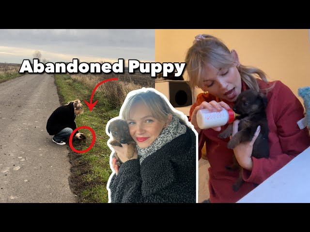 RESCUING AND RAISING AN ABANDONED PUPPY