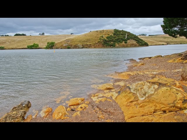 Walk around Pykes Creek Reservoir | 2021 Australian Summer Walks