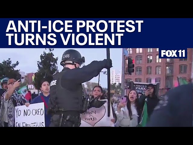 Cop yanks Mexican flag out of protester's hand