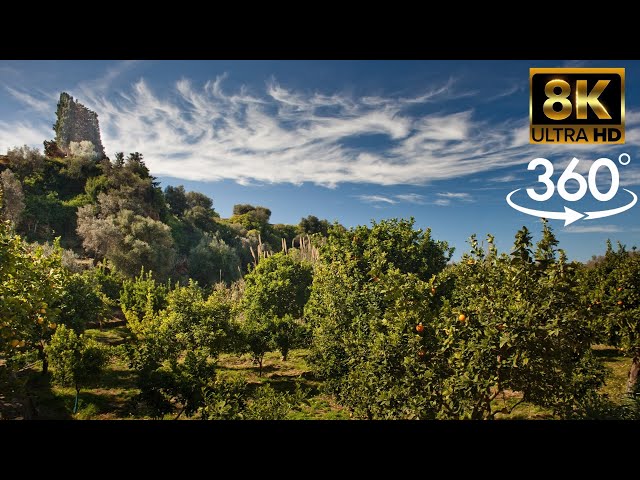 Giardino della Kolymbethra a 360 🔄👉 2K. 👉 4K 👉 8.K