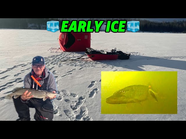 Northern Ontario Early Ice 2024/25 Northern Pike #icefishing #earlyice