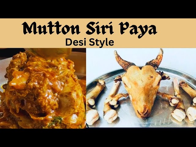 पहली बार राजस्थानी Desi Style मे कुकर में बनी Siri Paya Mutton Recipe Jaipur Food