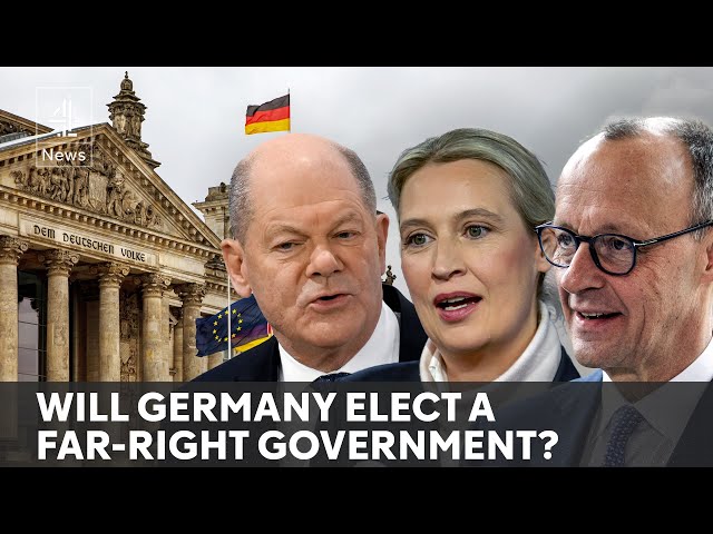 German election: far-right AfD second in the polls