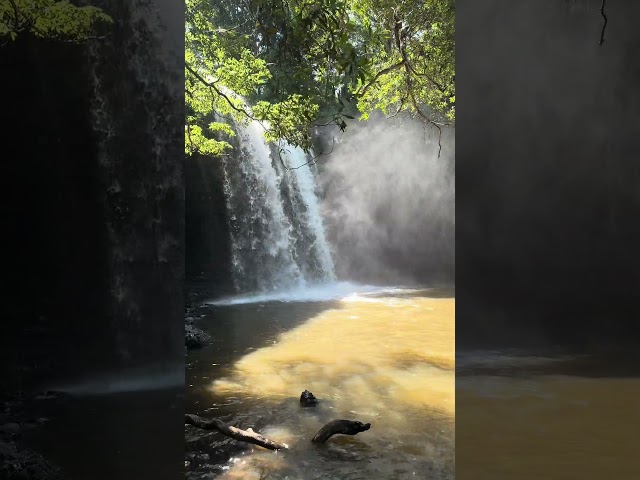 Queensland waterfalls 🙌 #queensland #byronbay #waterfalls #swimming #travel