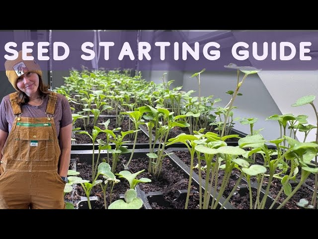 A Beginner's Guide to STARTING SEEDS INDOORS for Spring Garden with LED Grow Lights